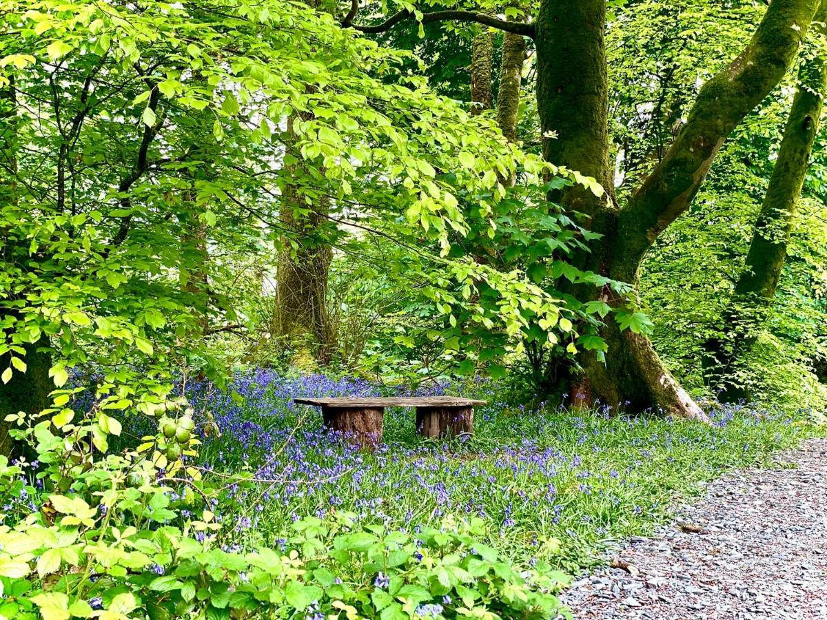 Snowdonia Holidays Caravan Hire - Aberdunant Park - 34 The Green Prenteg Экстерьер фото