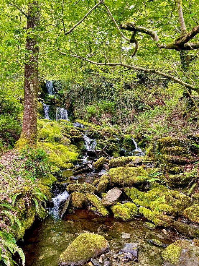 Snowdonia Holidays Caravan Hire - Aberdunant Park - 34 The Green Prenteg Экстерьер фото